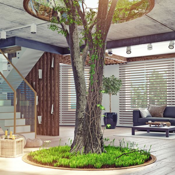 Sustainability & Green Building