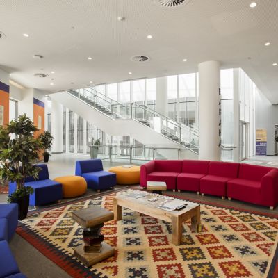 New York University Abu Dhabi